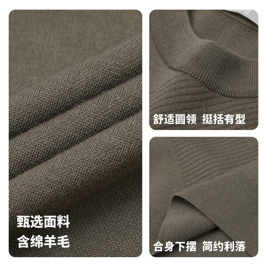 【门店同款&含绵羊毛】圣得西2025年冬季毛衫男款套头柔软针织衫 商品图4