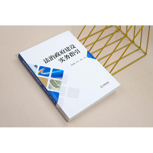 法治政府建设实务指引 商品图2