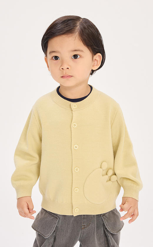 jnby  26年春款  短款开襟毛衫 YQ1310790 商品图3