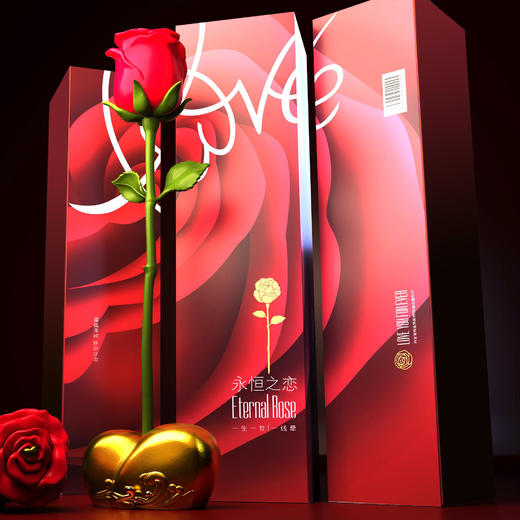 永恒之恋金手链 商品图3