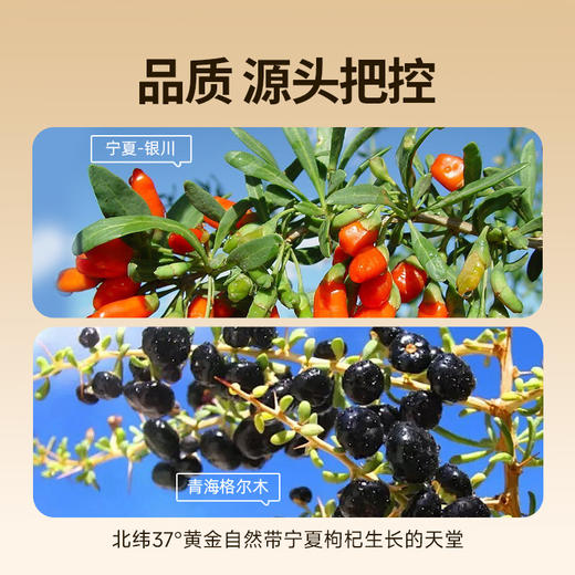 【甄选】人参枸杞原浆/红黑枸杞原浆 食养好搭档 独立包装 方便携带 低温破壁萃取 液态浓缩小分子 营养易吸收 商品图4