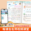 2026年春季课堂笔记语数英1-8年级【下册】 商品缩略图4