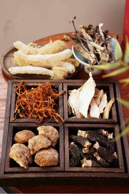 ✨【一朵燕山野菌礼—菌菇礼盒 】💕 手工采摘，😎自然风干，无熏硫无掺杂 👍有羊肚菌、鹿茸菇、❤️蛹虫草、猴头菇、竹荪，🍄杏鲍菇、多种食用菌类 红色大气礼盒装 商品图3