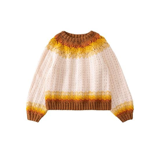 苏苏姐家叶纹育克毛衣手工DIY钩针衣服毛线团自制材料包 商品图4