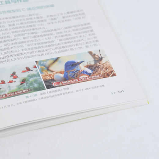 AIGC动漫创作实战 商品图2