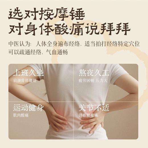 蔡氏福宁 艾草养生锤（1只） 商品图3