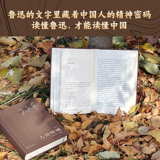 人间呐喊:解读鲁迅《呐喊》(修订本) 商品图1