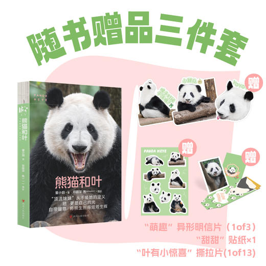 熊猫和叶 商品图1