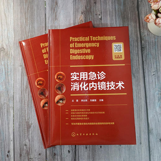 实用急诊消化内镜技术 商品图2