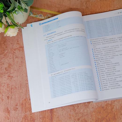 PostgreSQL认证与实践.PCP 商品图4