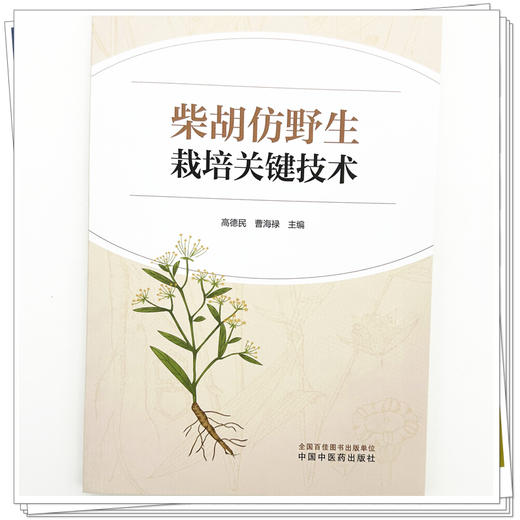 柴胡仿野生栽培关键技术 高德民 曹海禄 内容涵盖了微生态研究生物学研究 以及多重实时荧光PCR检测方法的建立 中国中医药出版社 商品图4