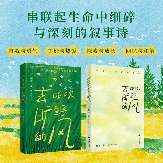 去吹吹旷野的风 商品图1