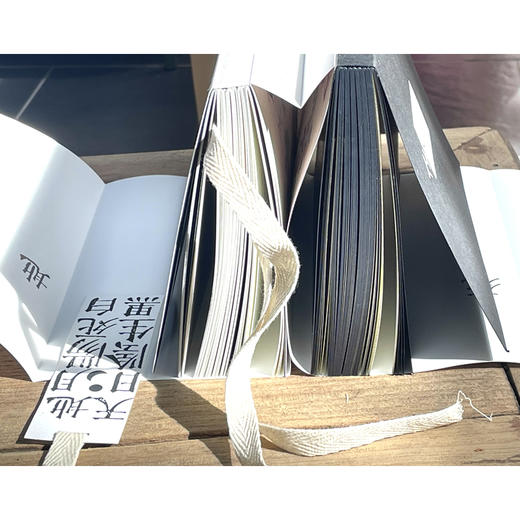 入土为安:中国古代丧葬文化 商品图3