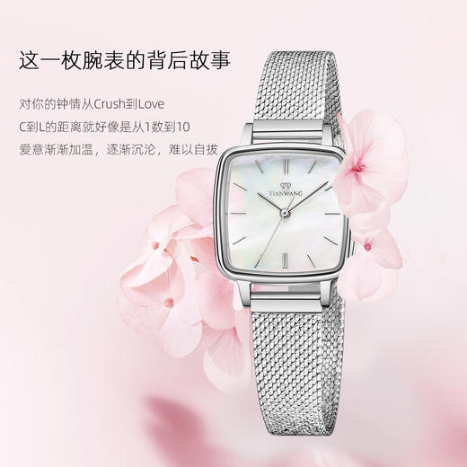 S00002833 天王TIAN WANG 轻奢高级感气质防水正品手表女士石英时尚小方表送礼推荐 商品图3