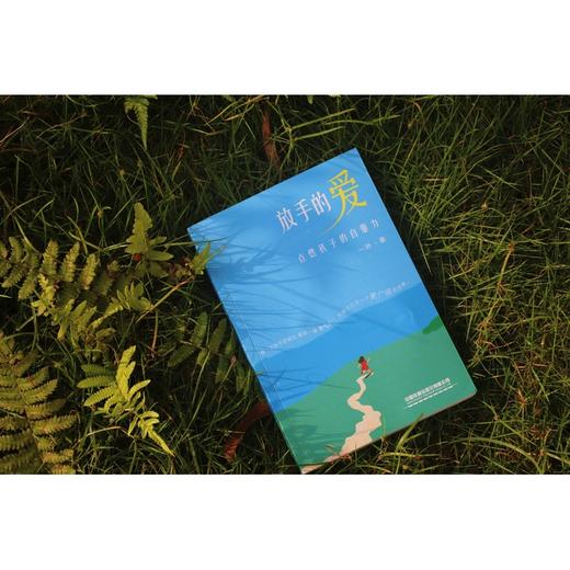 放手的爱:点燃孩子的自驱力 商品图4