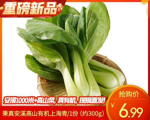 秉真安溪高山有机上海青/1份（约300g） 商品图0
