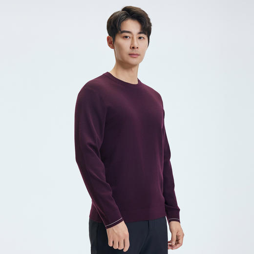 【门店同款&含绵羊毛】圣得西冬季打底质感羊毛衫25年男士针织衫 商品图1