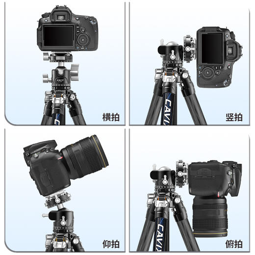 CAVIX凯唯斯玉兔YT-224Q1C相机三脚架 商品图4