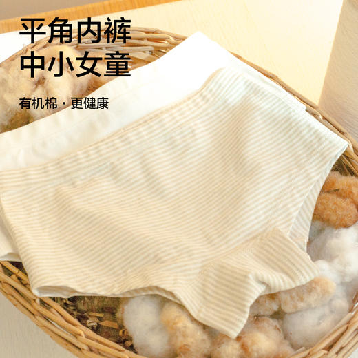 【中小女童平角内裤2条装】95%棉，素道有机彩棉-A类中小女童透气平角裤（基地直发-申通包邮），来自敦煌，品牌：素道【合作生产，公平贸易】 商品图0