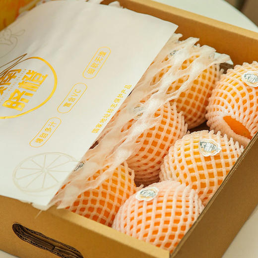 【宜昌助农馆】赣南脐橙 细嫩化渣 酸甜清爽 当季新鲜橙子彩箱礼盒装 商品图1