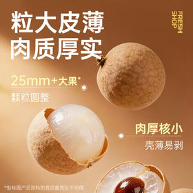 【鲜食新品】黑色经典×几多全精选桂圆干 170g