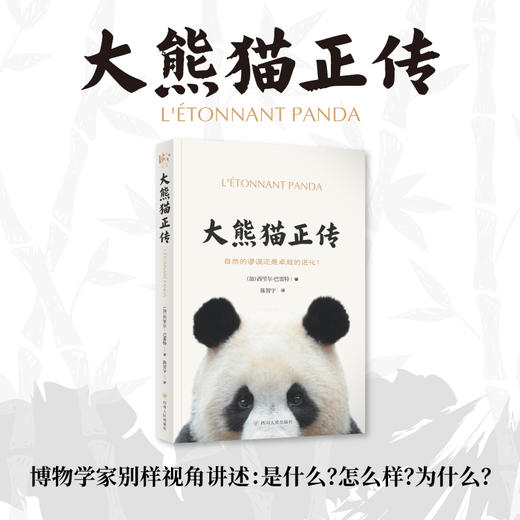大熊猫正传 商品图1