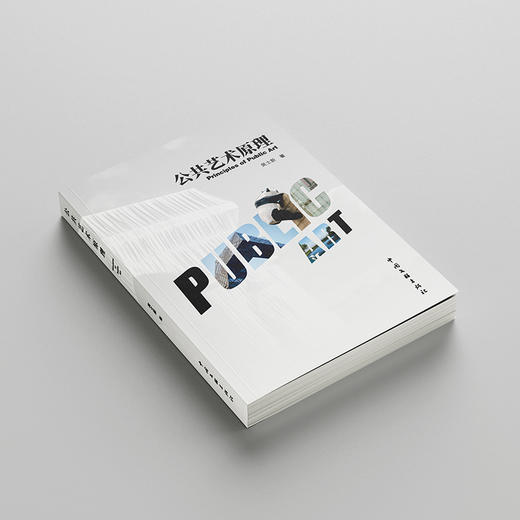 公共艺术原理 商品图0