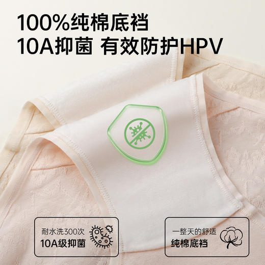 N1-4条【7A抑菌,100%棉底挡】【高腰棉质内裤】【10A抑菌】舒适透气纯棉裆女士内裤女  花漾谧语/锦云缬羽 商品图2