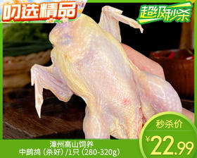 漳州高山饲养中鹧鸪（杀好）/1只（280-320g）生产日期：12月28日左右