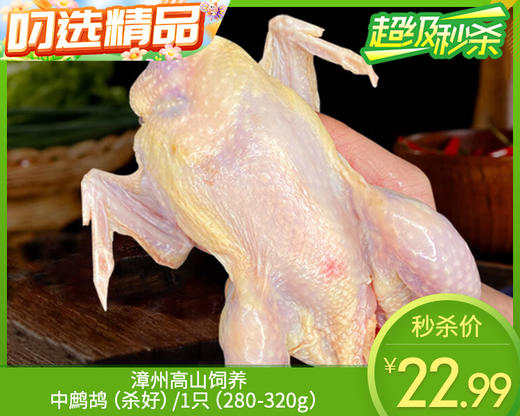 漳州高山饲养中鹧鸪（杀好）/1只（280-320g）生产日期：12月28日左右 商品图0