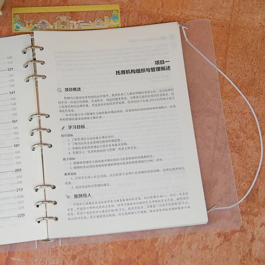 托育机构管理实务 商品图3