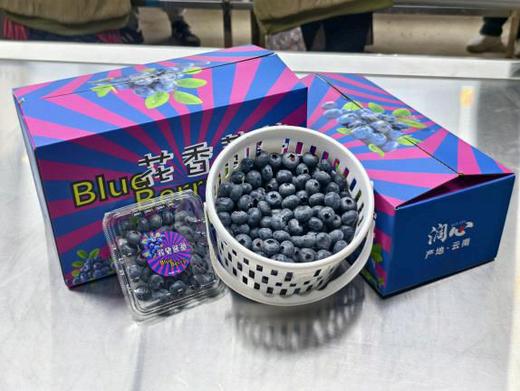 【云南花香蓝莓】蓝莓升级！果园直采，新鲜直达！硬度好，果粉足，风味绝佳。（周一、三、五12:00前下单，48小时内发货。） 商品图6
