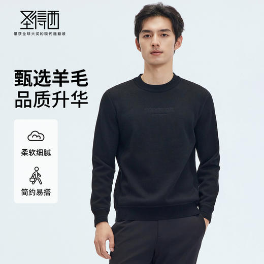 【门店同款】圣得西2025年冬季新款男士毛衫简约保暖圆领毛衣 商品图0