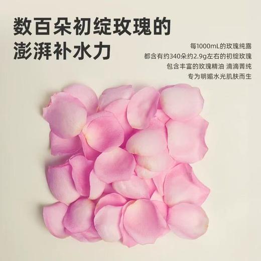 雏菊的天空大马士革玫瑰纯露 补水玫瑰水爽肤水舒缓 商品图2