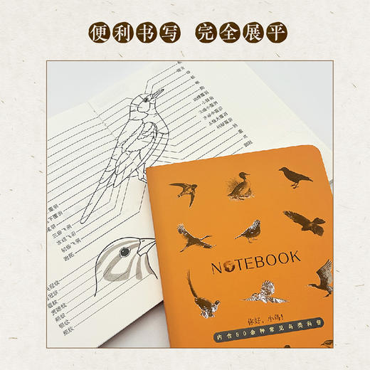 小鸟科普手账本·丝网覆膜 商品图4
