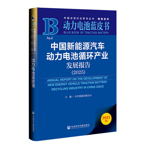 中国新能源汽车动力电池循环产业发展报告.2025(2025版) 商品图0