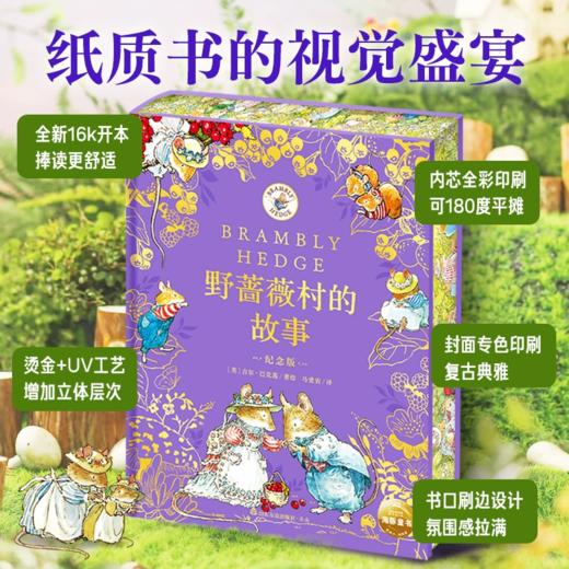 【多规格】野蔷薇村的故事：纪念版 商品图2