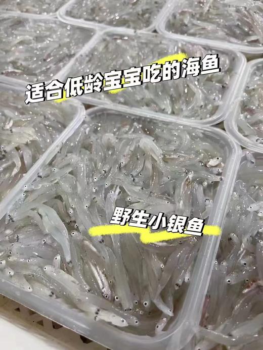 xm【强烈推荐！海捕不是养殖货！！！】补钙神器~新鲜小银鱼，灯照木敲大海里捞上来的 无小刺，整条吃易吸收，辅食必备活冻锁鲜~ 商品图0