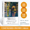 零基础学数码摄影后期:100个关键技法 商品缩略图0