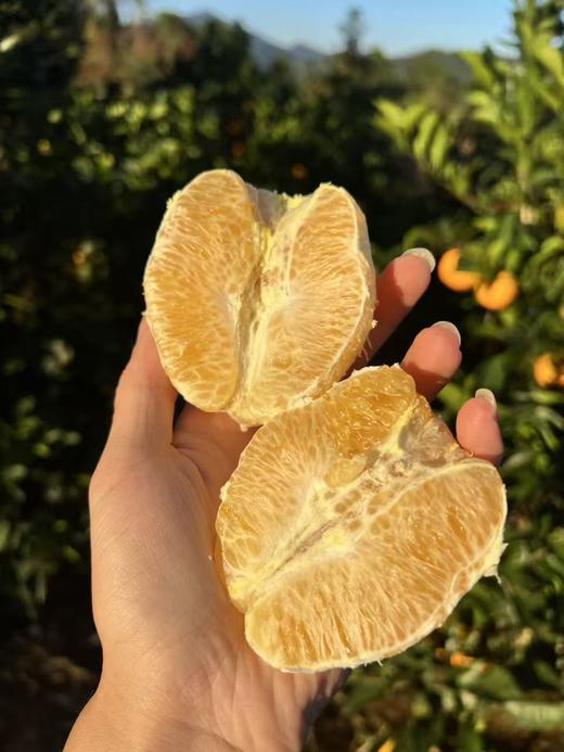 【产地直采】赣南脐橙，水分充足，橙香味浓郁，不加蜜，自然甜，口感好超级好，力推 商品图12