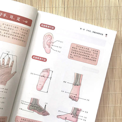 徒手按摩治百病 商品图3