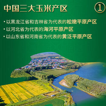 福临门 食用油 压榨一级 黄金产地玉米胚芽油1.8L（富含植物甾醇） /粮油调味 /食用油 /玉米油 商品图3