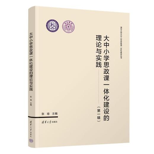 大中小学思政课一体化建设的理论与实践 商品图1