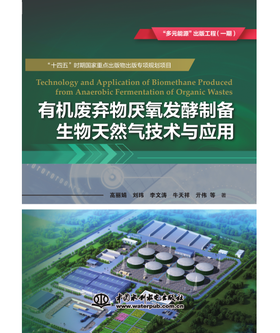 有机废弃物厌氧发酵制备生物天然气技术与应用（“多元能源”出版工程（一期））