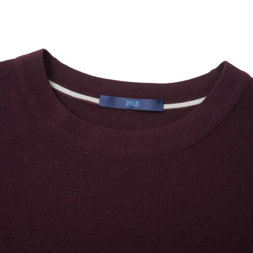 【门店同款&含绵羊毛】圣得西冬季打底质感羊毛衫25年男士针织衫 商品图6