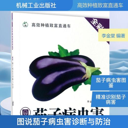图说茄子病虫害诊断与防治(全彩版) 商品图0