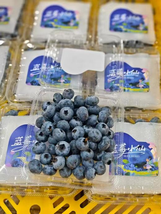 【云南抚仙湖 湖边蓝莓】果肉饱满，酸甜可口，较同品类果花青素、维生素等的常规营养成分含量更胜一筹,含有极为丰富的黄酮类和多糖类化合物，顺丰空运 商品图13
