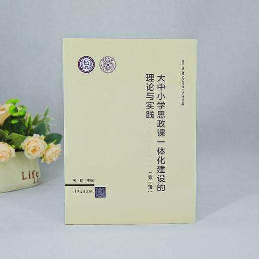 大中小学思政课一体化建设的理论与实践 商品图2
