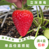 锦彤 商品缩略图0