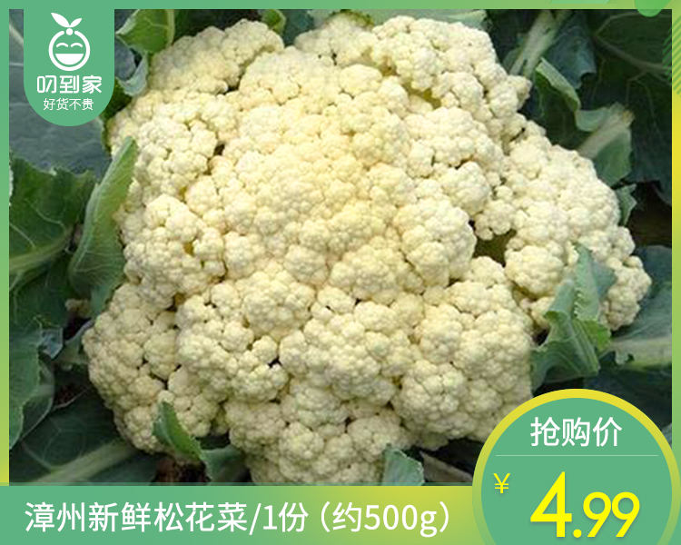 【叼鲜蔬】漳州新鲜松花菜/1份（约500g）